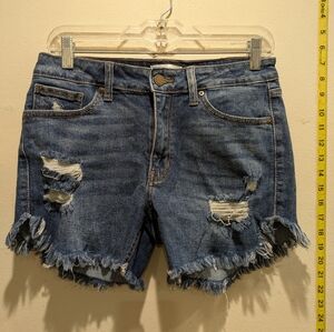 JBD Trendy Blue Distressed Jean Shorts for Women Size Medium